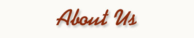 About Stevens Associates Inc